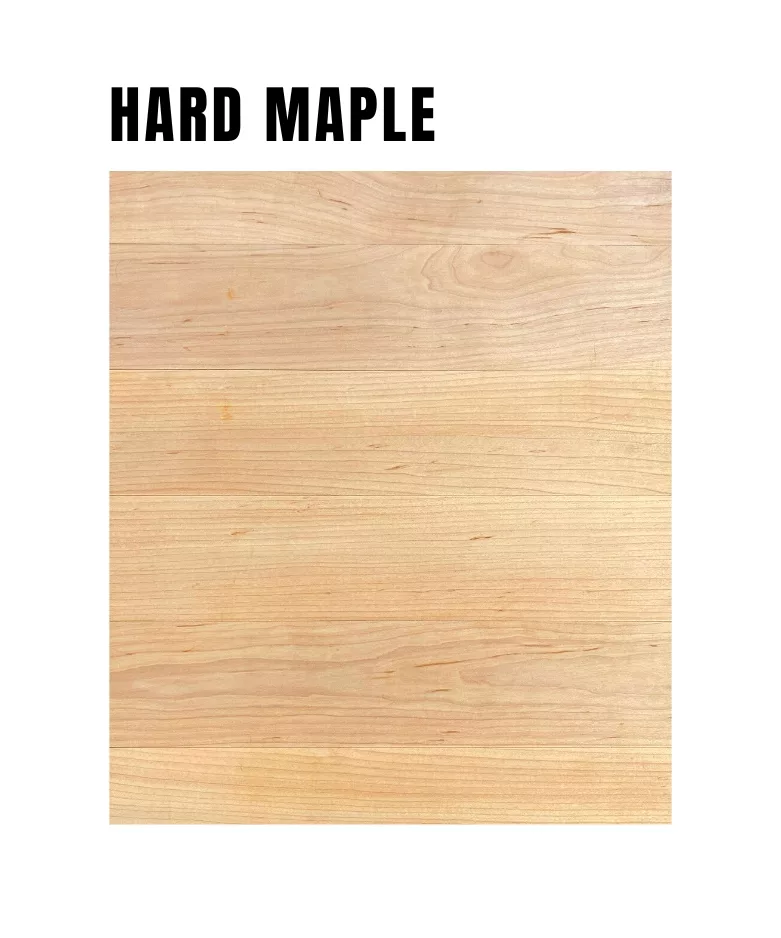 Hard Maple Sample